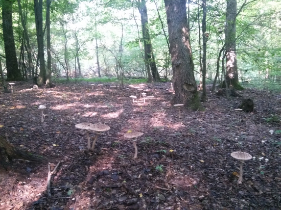 Krásne potešili...