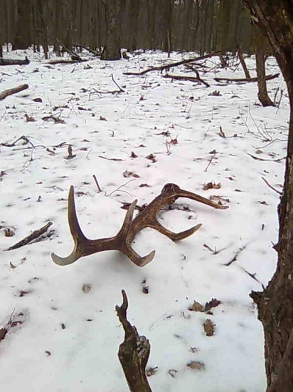 dnes najdeny zabudnuty