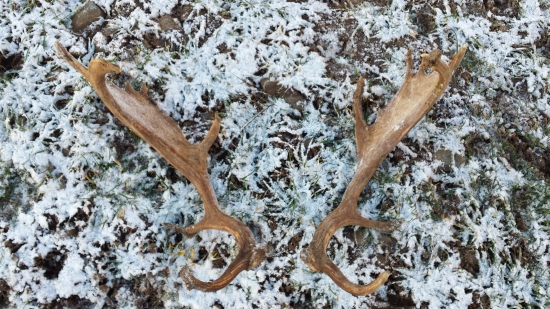 Detailnejší náhľad - už sa teším na jar...