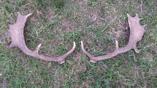 Mladík zhodil 200m od seba