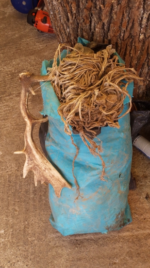 Pomáhaj prírode a ona ťa odmení...