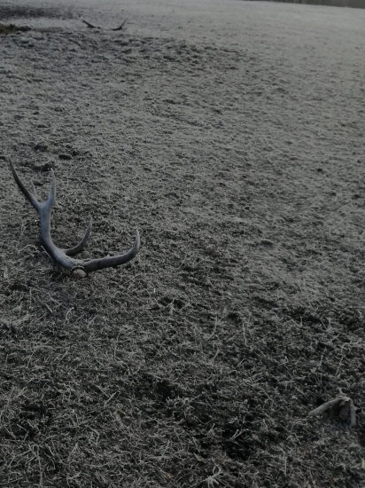 Odmenou za kŕmenie bol najkrajší pár v živote