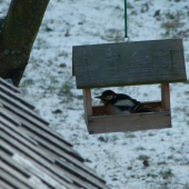 trochu som ho rozmaznal..