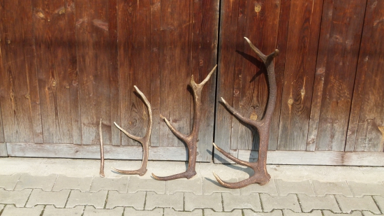 minimálne hodnoty pre chovnosť?