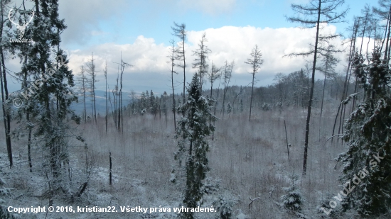 Dnes v lese :)