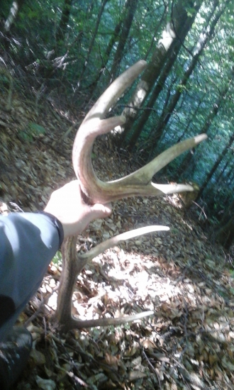 mladňak potešil :)