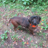 Gema od Margarétky +