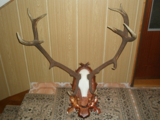 moja prva para 14torak