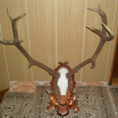 moja prva para 14torak