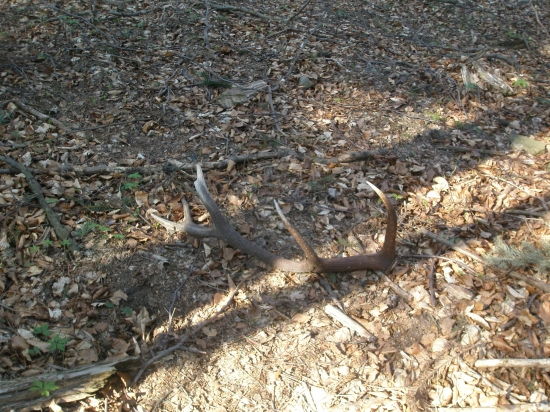 tohtorocny moj najkrajsi