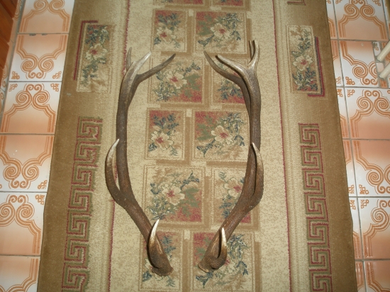 nepravidelny 12storak