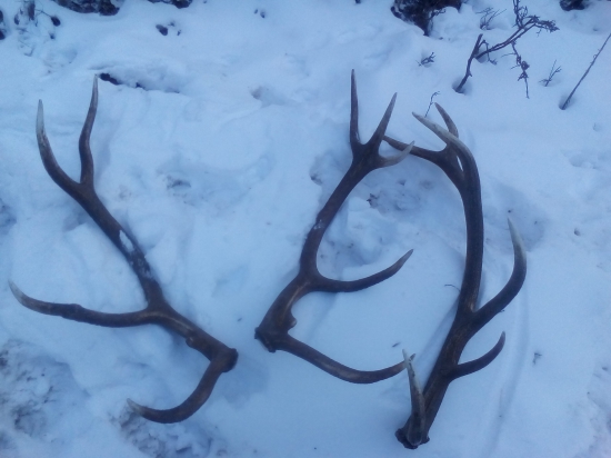 Šťastná chvíľka