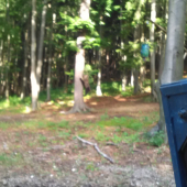 najskor si nasypem a potom sa napapam