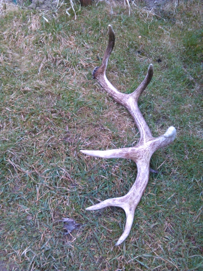 majitel tejto okrasi už nežije