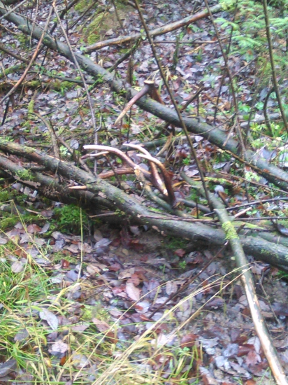 skoro rok si tam pockali