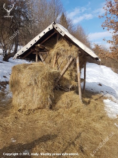 Nezmestilo sa