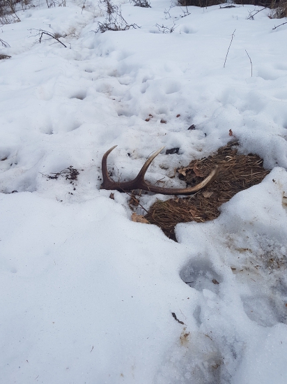 Rok som ho obchadzal