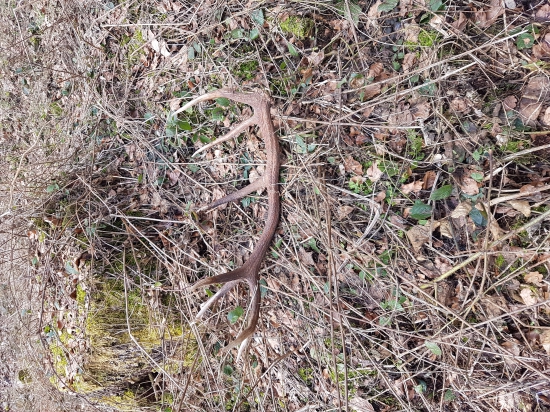 Vzdy najdem ked nehladam