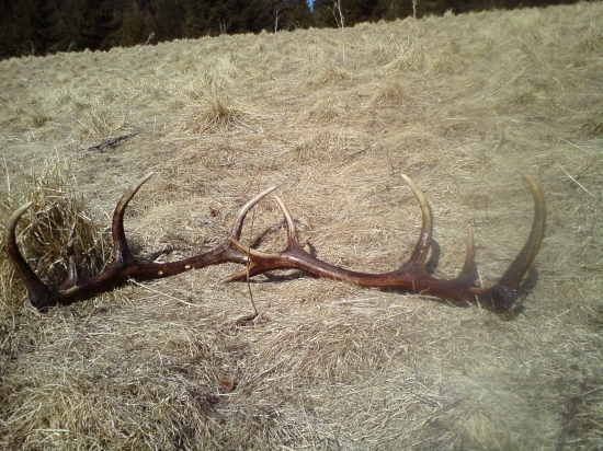 Rok si na mna pockali