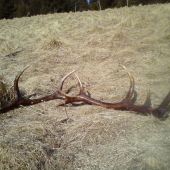 Rok si na mna pockali