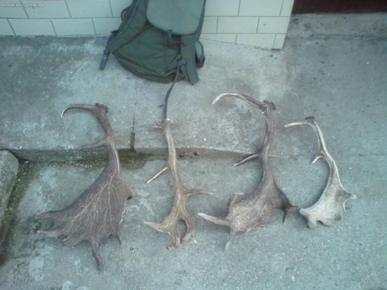 u kamarata za jeden den