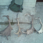 u kamarata za jeden den