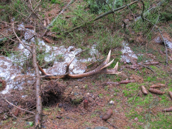 12terák 84cm 1.65kg