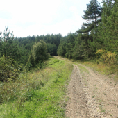Maňovská húština