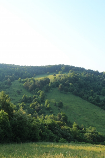 Bok Manivského vrchu