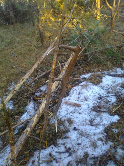 spomienka a stála motivácia na sezonu.1,75kg