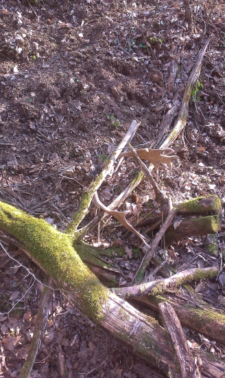 Na nasteve  Daniel druhy pohlad :)