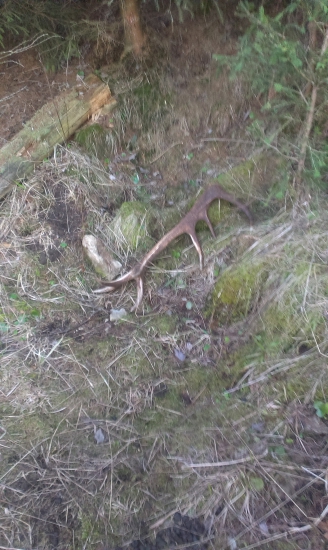 na velkonocny pondelok