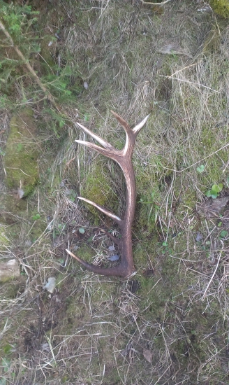 na velkonocny pondelok ,pohlad 3 :)