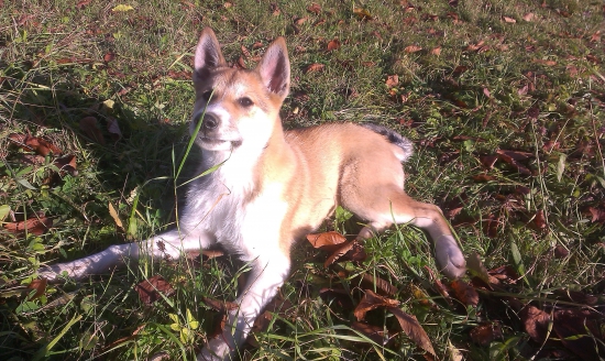 vyhrievanie na slniecku