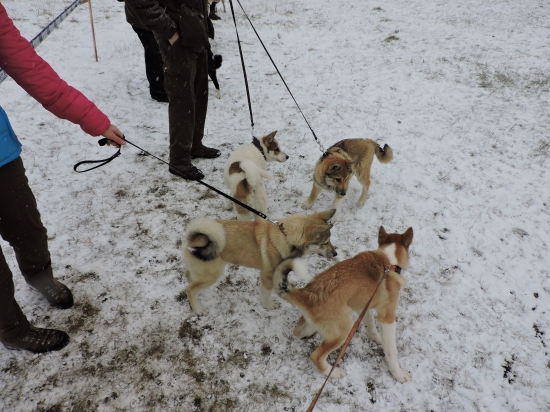 na vystave liptovska teplicka 2016