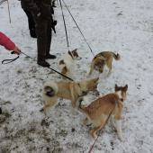 na vystave liptovska teplicka 2016