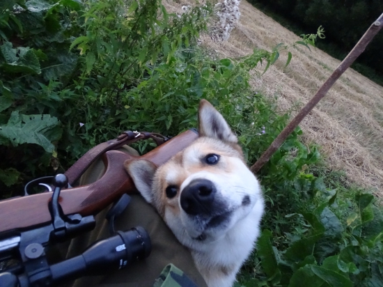 Na potrieske stale nic nejde!