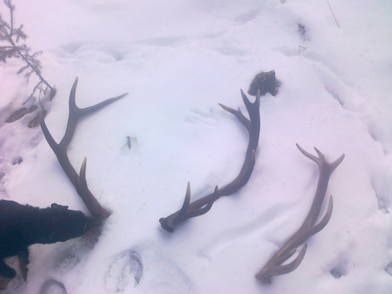 páteční během 5 minut