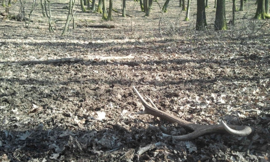 menší ale potešil