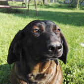 naša Elza
