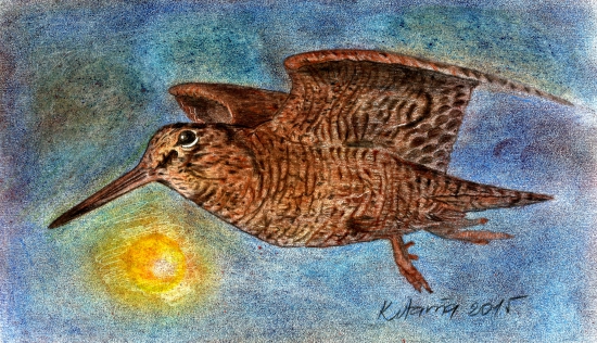 Už teraz sa na nich teším - pastelka