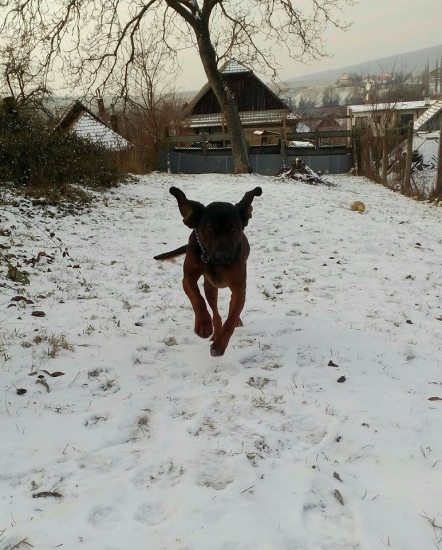 Už bežíím :)  Edy