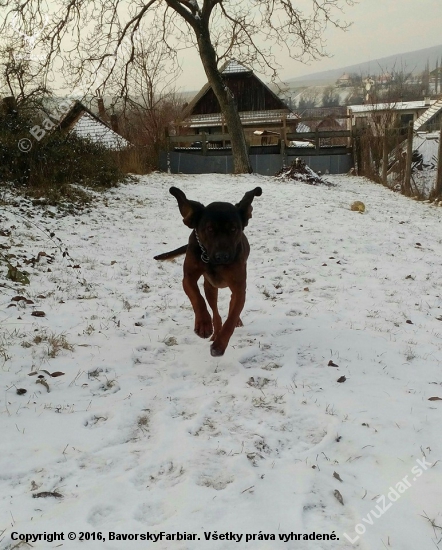 Už bežíím :)  Edy