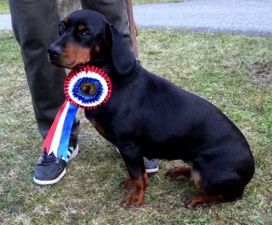 Koloman Slimák, by mal radosť