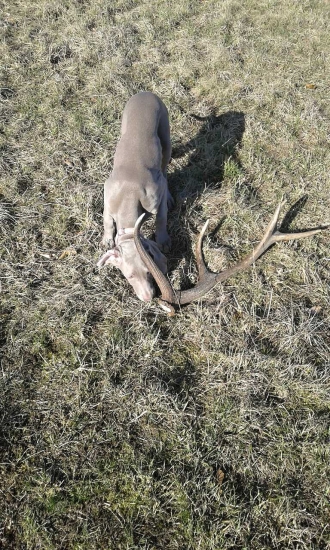 Co se v mládí naučíš