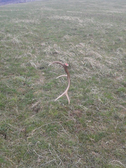 Dva dni po sebe sa dari