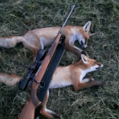 Vela skodnych je v reviry