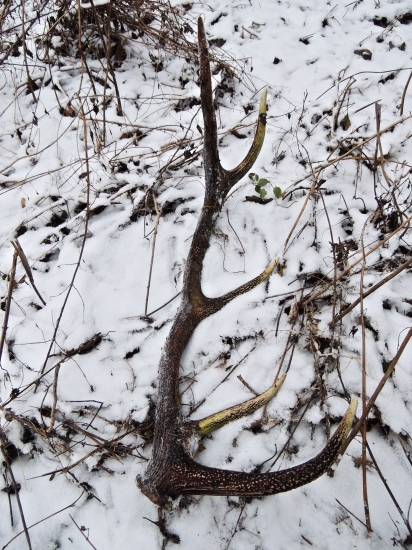 Konečne sa aj mne zadarilo