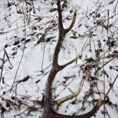 Konečne sa aj mne zadarilo