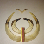 Trofej zID fotky 325827